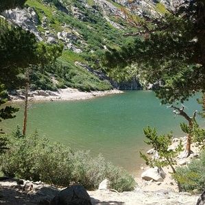 Meet your Posher, Madi